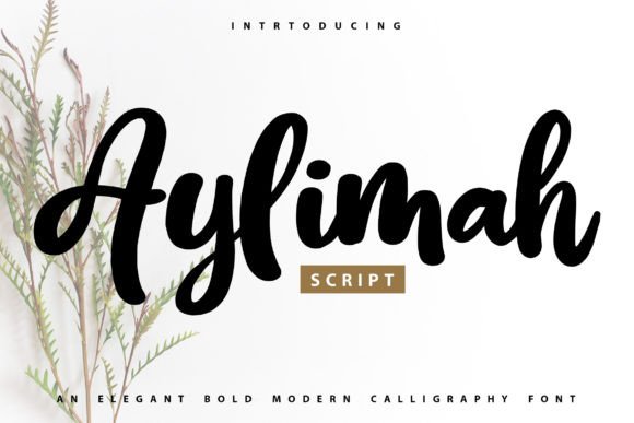 Aylimah: A Script Font That Elevates Campaign Visuals with Elegance and Impact