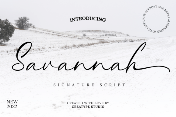 Savannah Signature: A Designer’s Take on Real-World Use