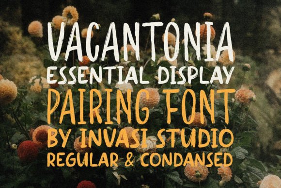 Vacantonia: A Bold Display Font for Modern Web Design and Digital Branding